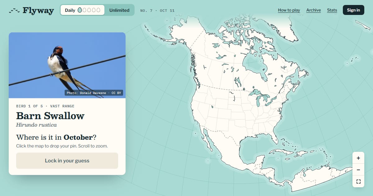 Preview of Flyway: Where is that bird?